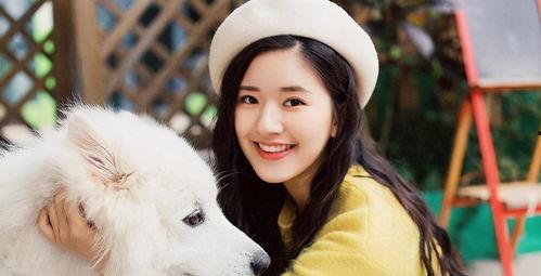 爱豆吃瓜娱乐酱赵露思,爱豆吃瓜娱乐酱，揭秘娱乐圈幕后故事